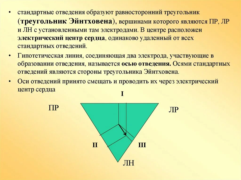 Треугольник общего положения. Основные положения теории эйнтховена. теория отведений эйнтховена. отведения эйнтховена. треугольник эйнтховена.