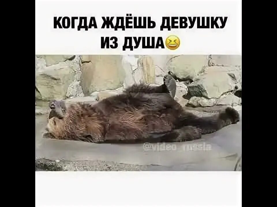 Когда ждешь девушку из душа. Девушка ждет. Когда ждешь девушку прикол. Когда долго ждешь девушку. Пока муж ждет видео