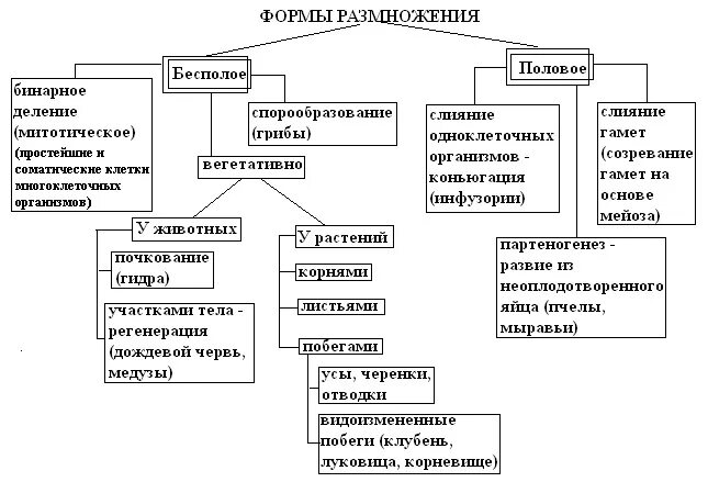 Размножение живых организмов примеры. Способы размножения организмов таблица. Формы бесполого размножения схема. Типы размножения таблица. Размножение живых организмов бесполое размножение таблица.