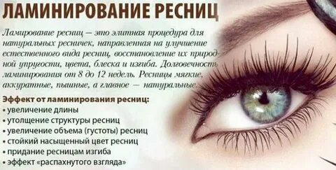 Описание ресничкам