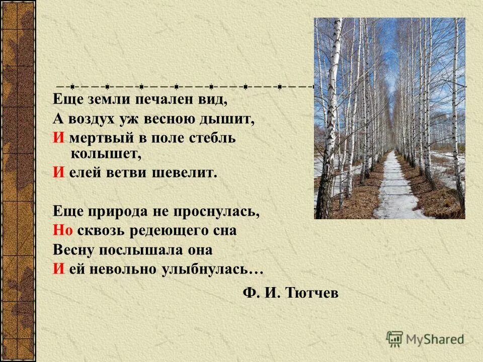 Повторяющиеся союзы в стихотворениях пушкина. Ещё земли печален вид. Ещё земли печален вид Тютчев. Земли печален вид а воздух уж весною дышит. Стих ещё земли печален вид.