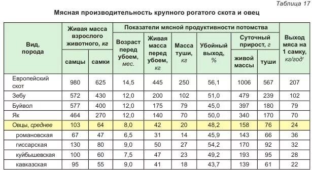 Таблица живого веса барана. Сколько выход мяса у барана. Таблица веса овец. Выход мяса с барана Романовской породы. Сколько вес барана