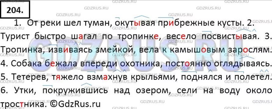 Русский язык 7 класс ладыженская номер 204. 204 Упражнение по русскому 7. Русский язык 7 класс номер 208. Русский язык 208 страница