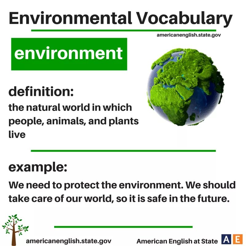 Окружение на английском. Environment Vocabulary. Вокабуляр по теме Environmental problems. Environment английский язык. Environmental Vocabulary.