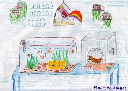 Нарисовать живой
