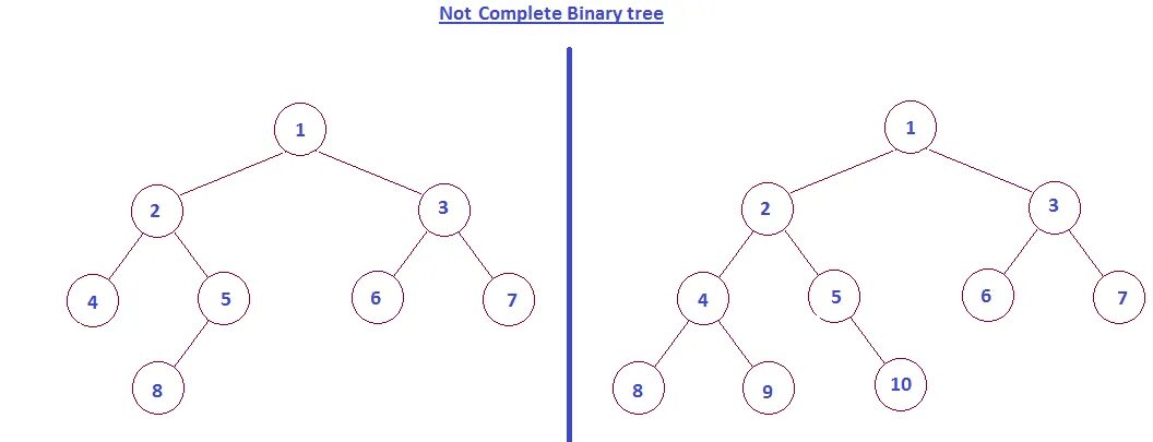 Binary tree. Binary Tree example. Бинарное дерево в природе. Complete binary Tree. Бинарное дерево визуализация.