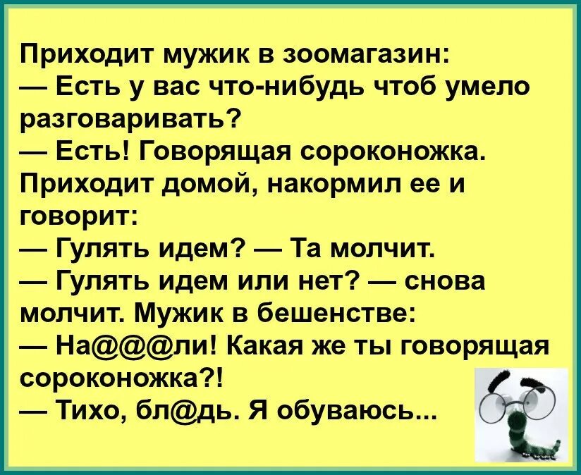 Приходит мужик в зоомагазин. Анекдот. Анекдот мужик заходит в зоомагазин. Приходит мужик в зоомагазин покупает говорящую сороконожку. Пришла к парням одна