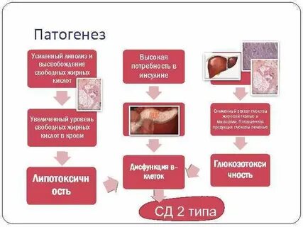 Продукция глюкозы печенью