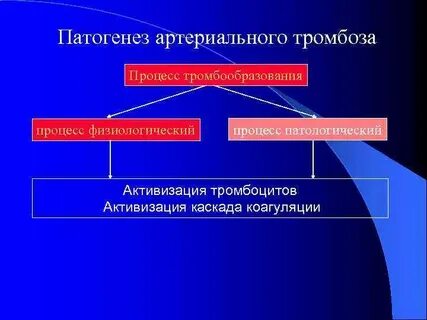Патогенез тромбоза