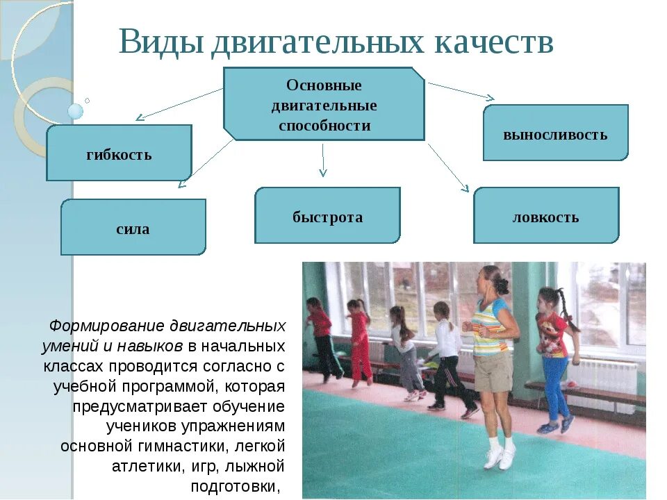 Развитие движений и действий. Физические двигательные качества человека. Развитие двигательных качеств человека. Физические качества и двигательные способности. Основные двигательные качества.