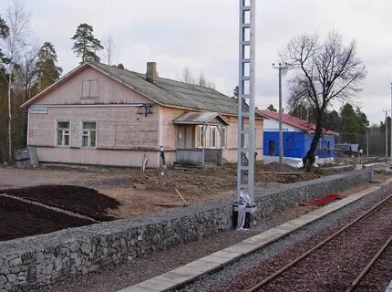 Погода в каменногорске ленинградской