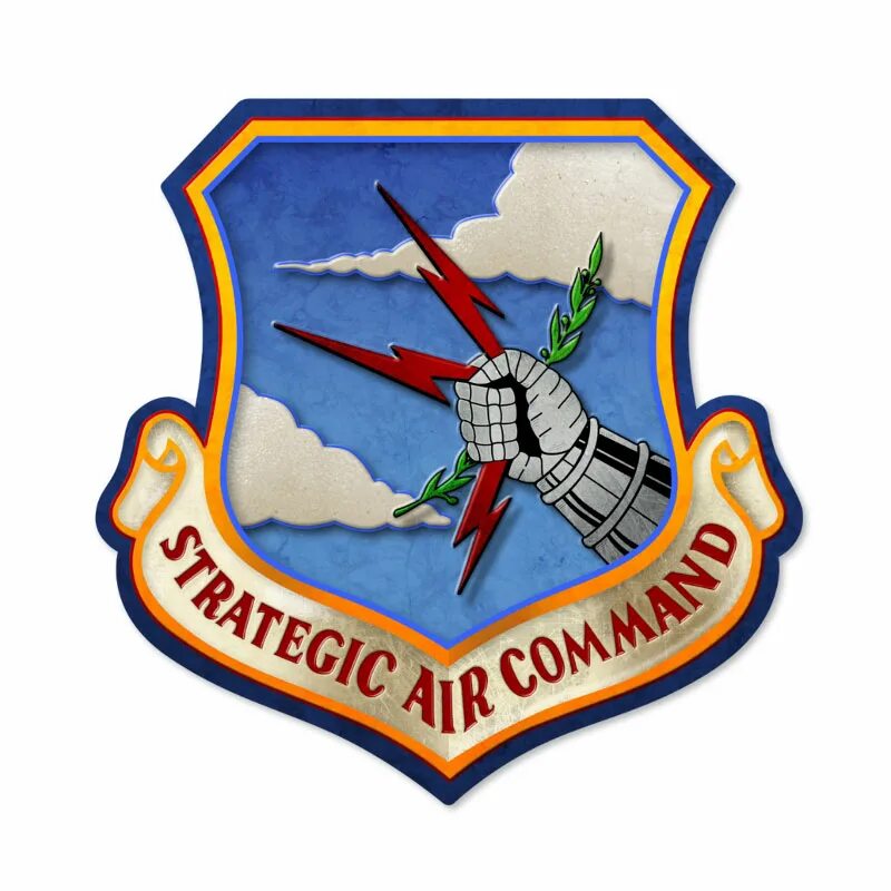 Strategic Air Command. Стратегическое воздушное командование 1955. Многофункциональная Авиация знак. Tactical Air Command logo. Знак command