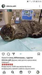 Южно написал