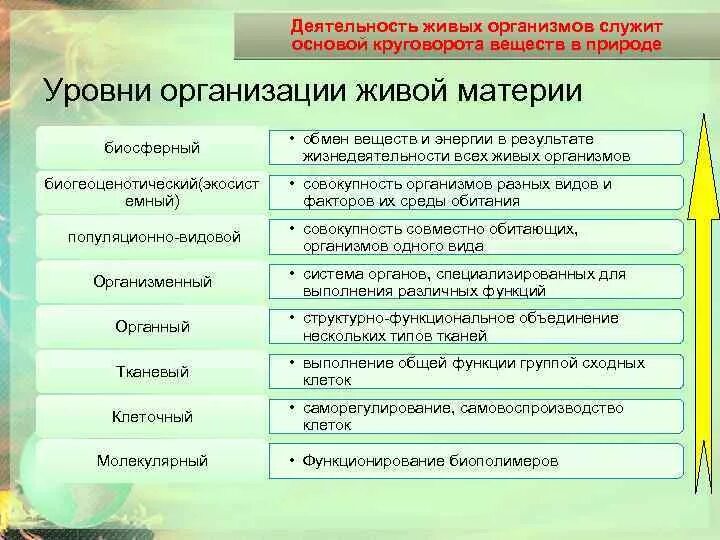 Уровни организации живой материи таблица 9 класс биология. Уровни организации живой материи организменный уровень. Уровни организации живой материи молекулярный клеточный. Таблица по биологии 9 класс уровни организации живой материи.