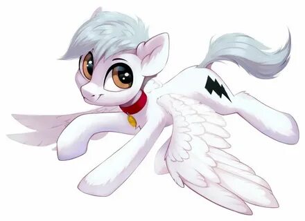 Pony 2020