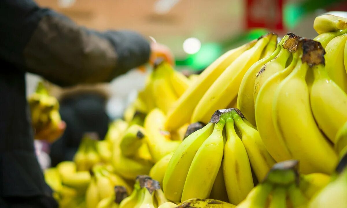 Где можно купит банан. Бананы на прилавке. Бананы в магазине. Импорт бананов. Прилавок бананов.