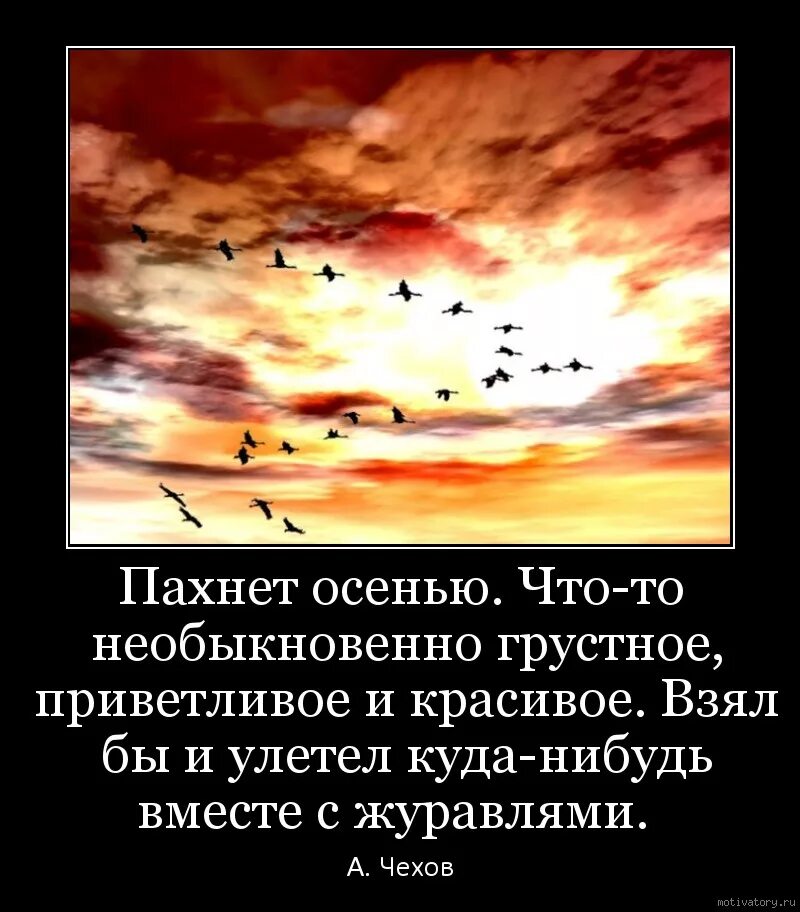 Душа улетает. Пахнет осенью что-то необыкновенно грустное приветливое. Улетают души улетают. Улетают души улетают их Господь на небо забирает. Улетают души улетают их господь на небо