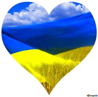 Сине желтый мир
