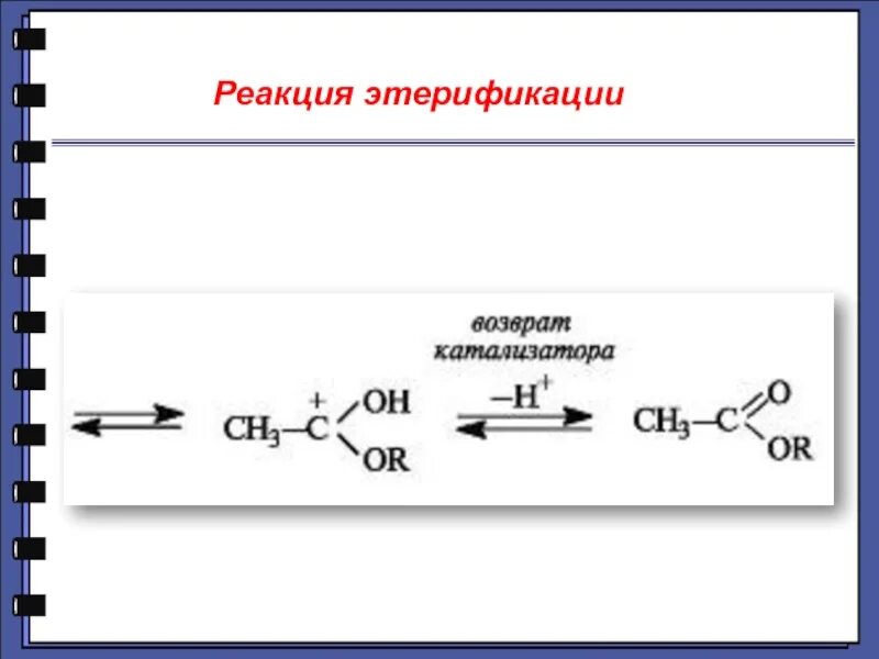 Скорость реакции этерификации. Механизм реакции этерификации уксусной кислоты. Механизм реакции этерификации. Механизм реакции этерификации без участия катализатора. Механизм этерификации уксусной кислоты.