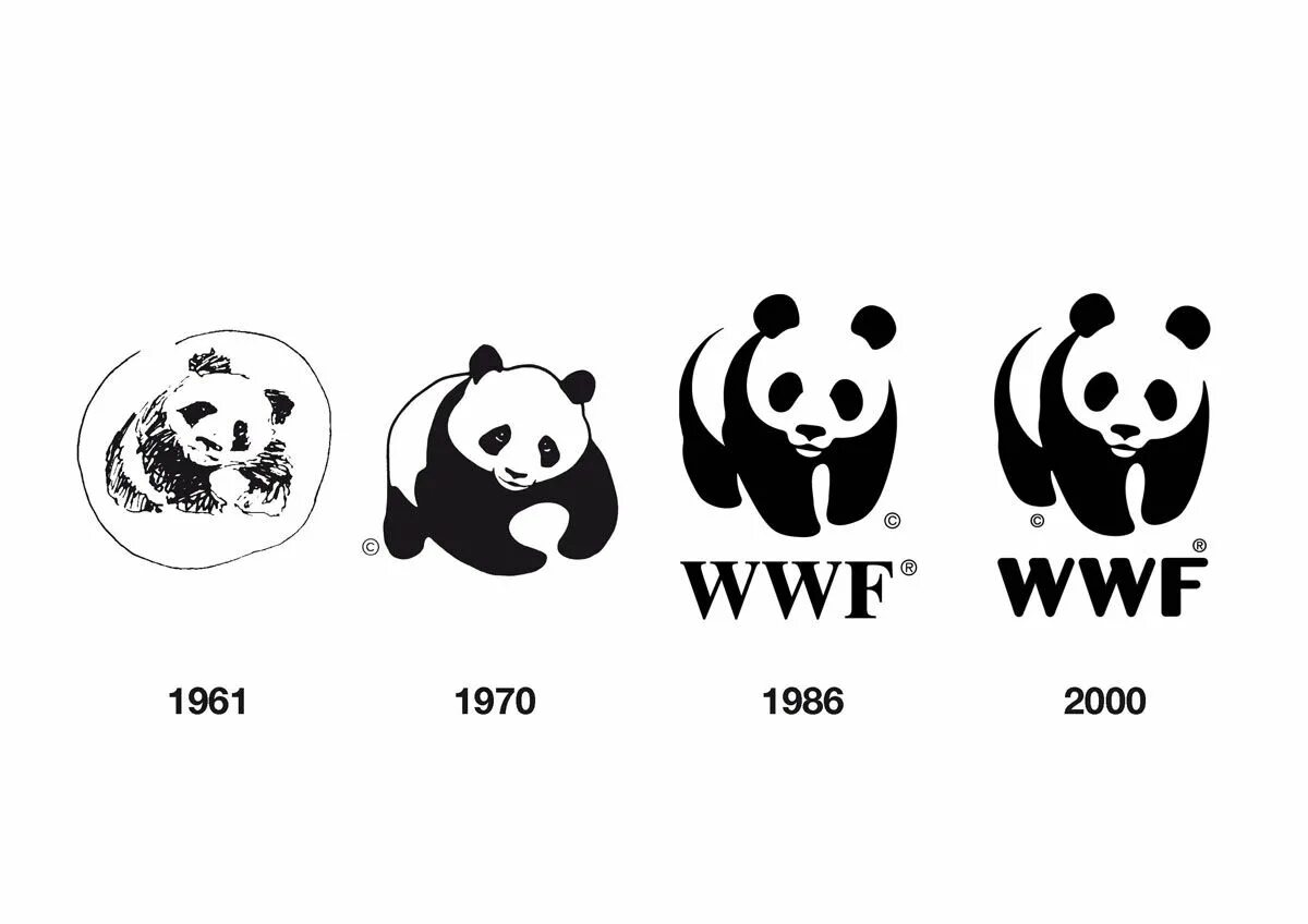 The world wildlife fund is an organization. Всемирный фонд дикой природы WWF. Панда символ Всемирного фонда дикой природы. Эмблема фонда охраны дикой природы. Фонд дикой природы WWF логотип.