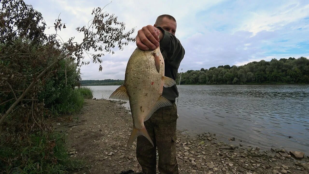 Ловля на сало. Рыбалка на леща. Поймал леща. Рыбалка на Оке осенью. Рыбак с Оки.