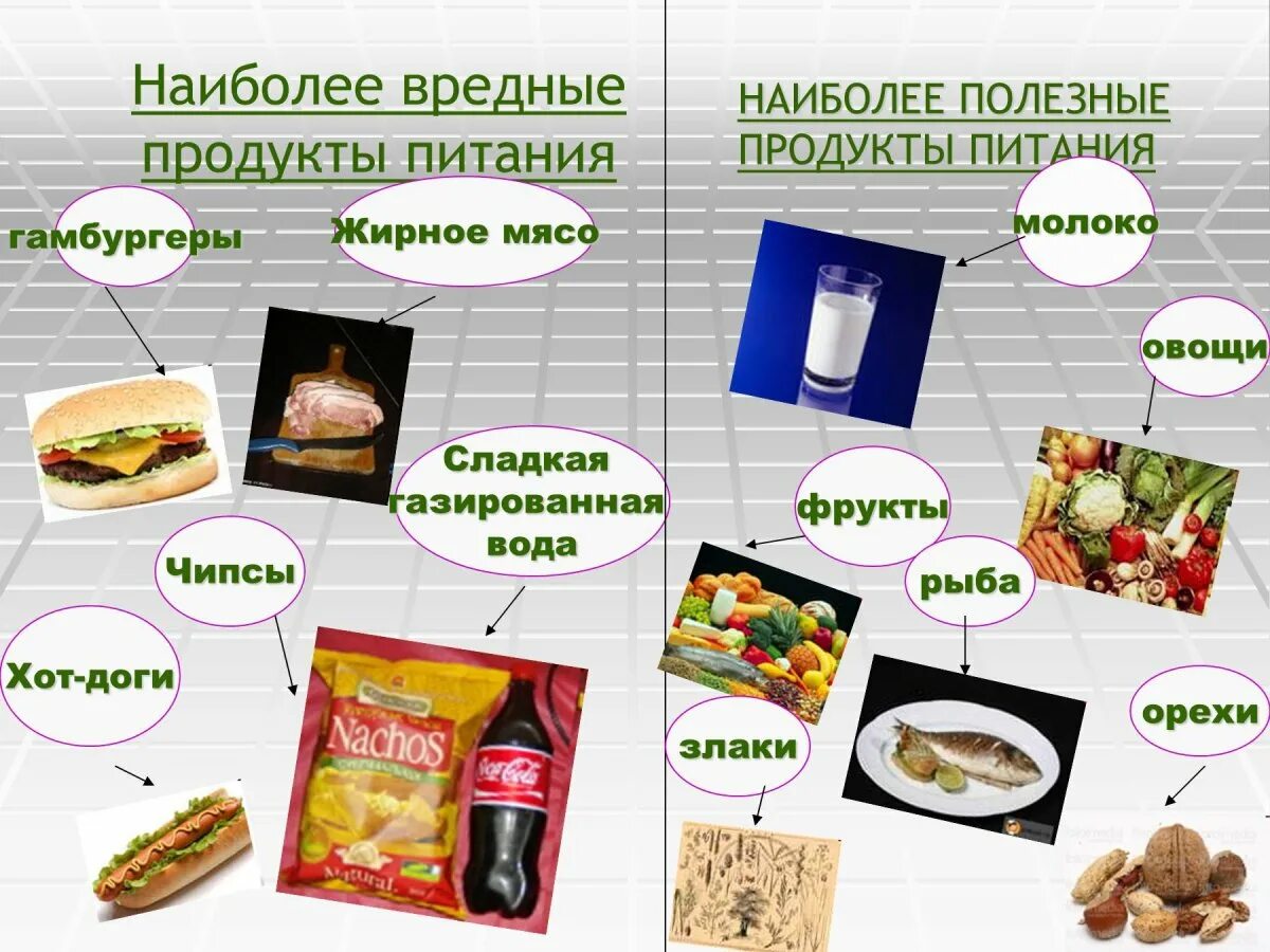 Какое питание является правильным. Вредные продукты питания. Вредная и полезная пища. Полезное и вредное питание. Полезные и вредные продукты питания.