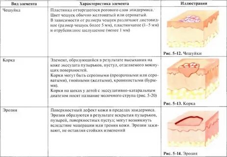 Консистенция кожи