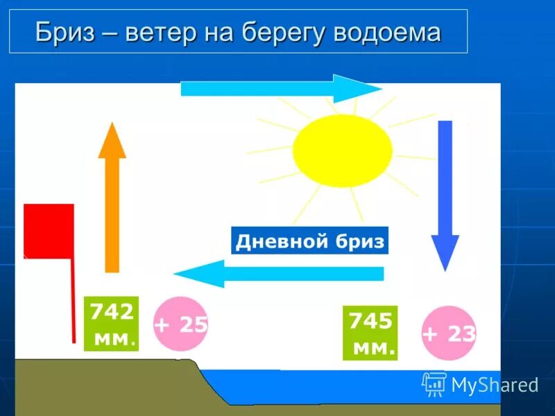 Ветер меняет направление amice