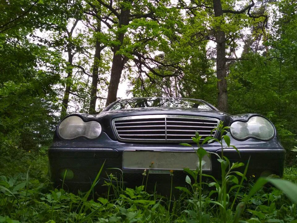 Выехал на природу и решил сделать пару фоток )) - Mercedes-Benz E-class (W210), 