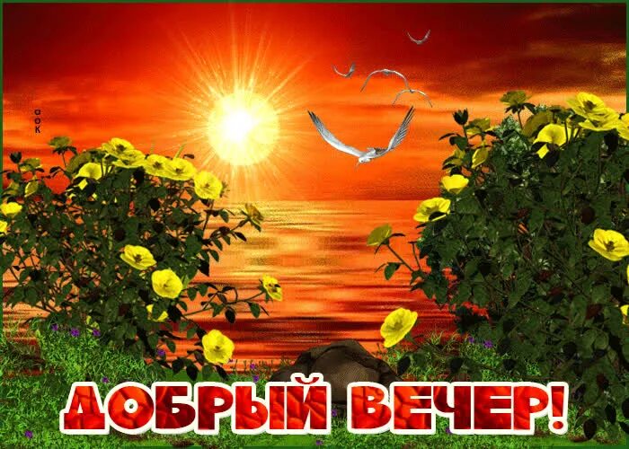 Доброго июльского вечера