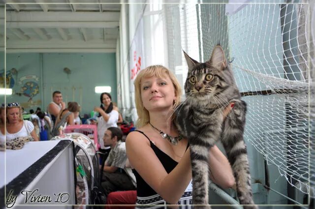 Выставка к образованию марий эл. Выставки в йошкар оле животных. Кошачья выставка плакат. Живые тропики йошкар-ола. Выставки в йошкар оле животных.