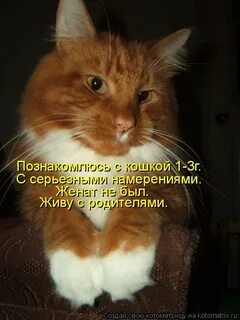 Серьезные намерения