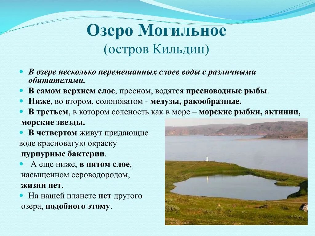 слоеное озеро могильное где. озеро могильное кольский полуостров. озеро могильное кольский полуостров. озеро могильное мурманская область. озеро могильное кольский полуостров.