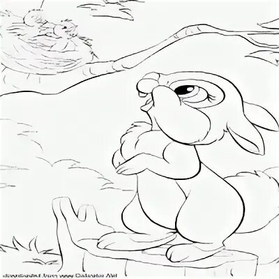 Иллюстрация к сказке сергея козлова давно. Козлов давно бы так заяц сказка читать. Давно бы так заяц. Давно бы так заяц рисунок. Давно бы так заяц.