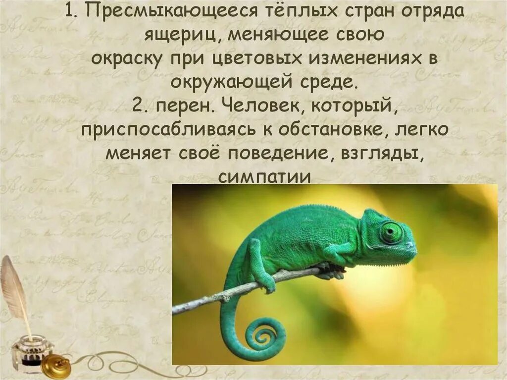 Произведение хамелеон краткое содержание. Рассказ про хамелеона. интересные факты о хамелеонах. хамелеон описание. сочинение про хамелеона.