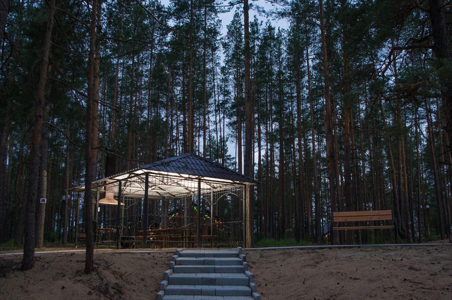 Заельцовский парк Новосибирск беседки. Парк-отель лента Заволжье Чебоксары. Сибиряк Заельцовский парк. Парк-отель лента Заволжье. Беседка заельцовский