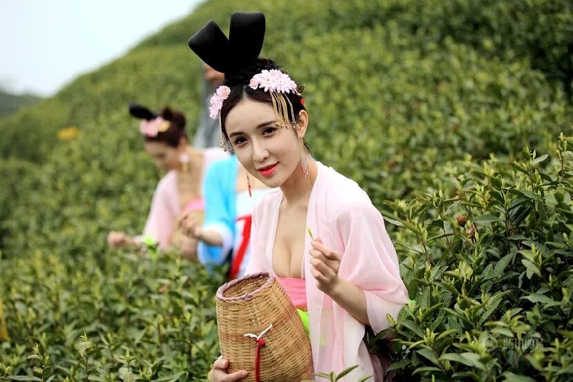 Настоящая китайская. Китаянки из деревни. Китайские сборщицы чая. Китайские девушки настоящие. Китаянка собирает чай.