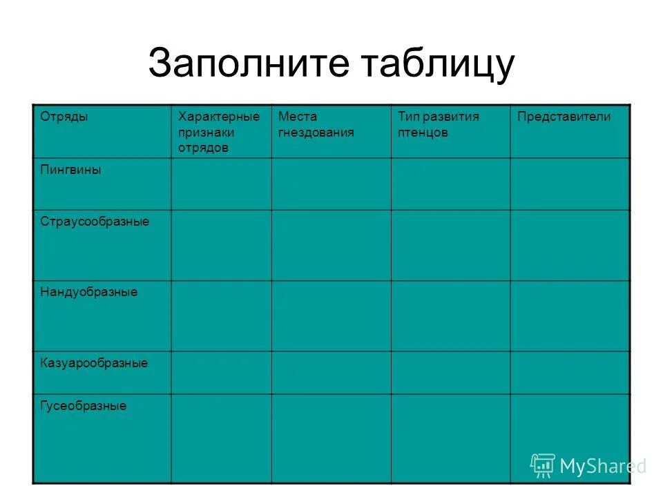 Экологические группы птиц по месту обитания таблица