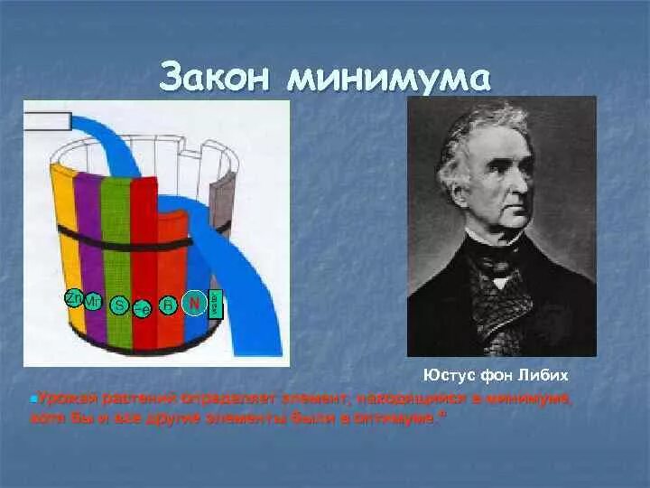 Закон ограничивающего фактора кратко. Юстус Либих лимитирующий фактор. Юстус Либих закон минимума. Закон минимума Юстуса Либиха. Закон минимума.