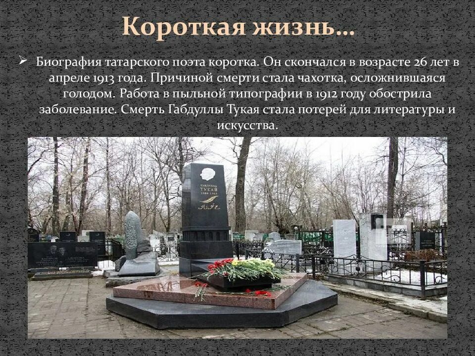 Биографию татарского