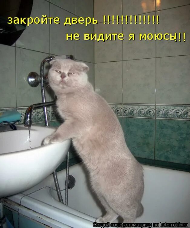 Вода прикол. Регулярно мыться картинка. Стихи для детей о ванной. Кот купается с прикольными надписями. Приколы про помытпомыться.