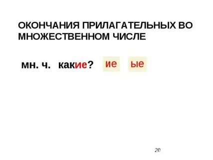 Вопрос имени прилагательного во множественном числе