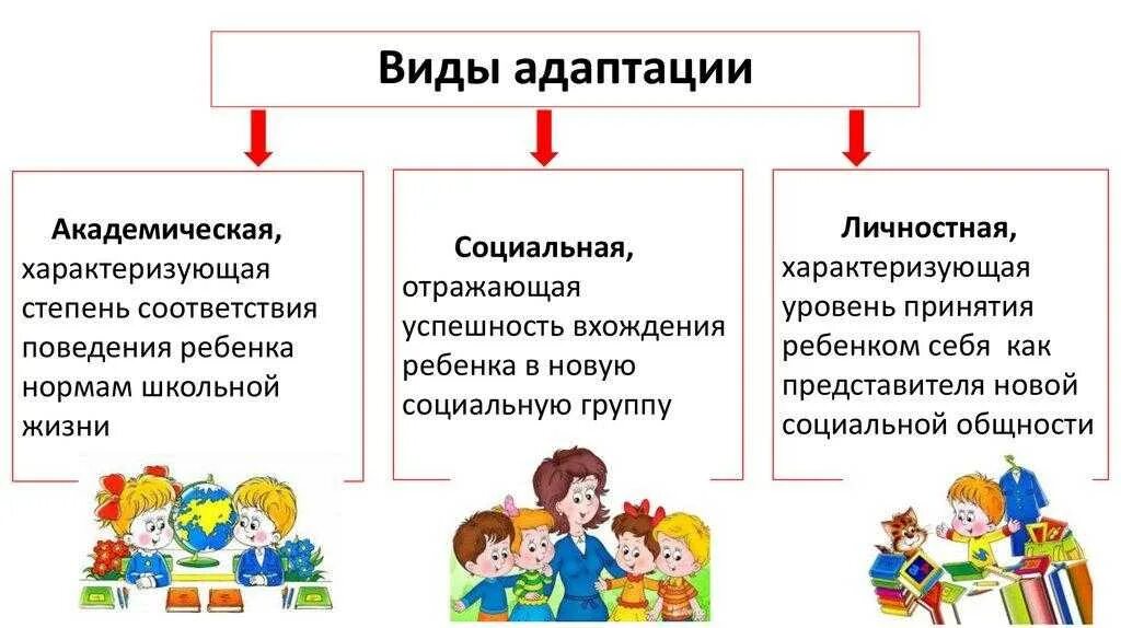 Процесс адаптации к школе. Виды адаптации. Этапы адаптации ребенка к школе. Виды школьной адаптации. Виды и уровни адаптации ребёнка к школе.