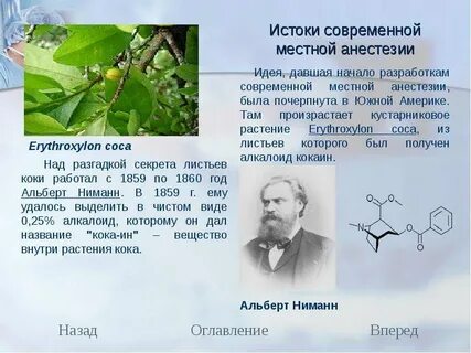 Истоки современной