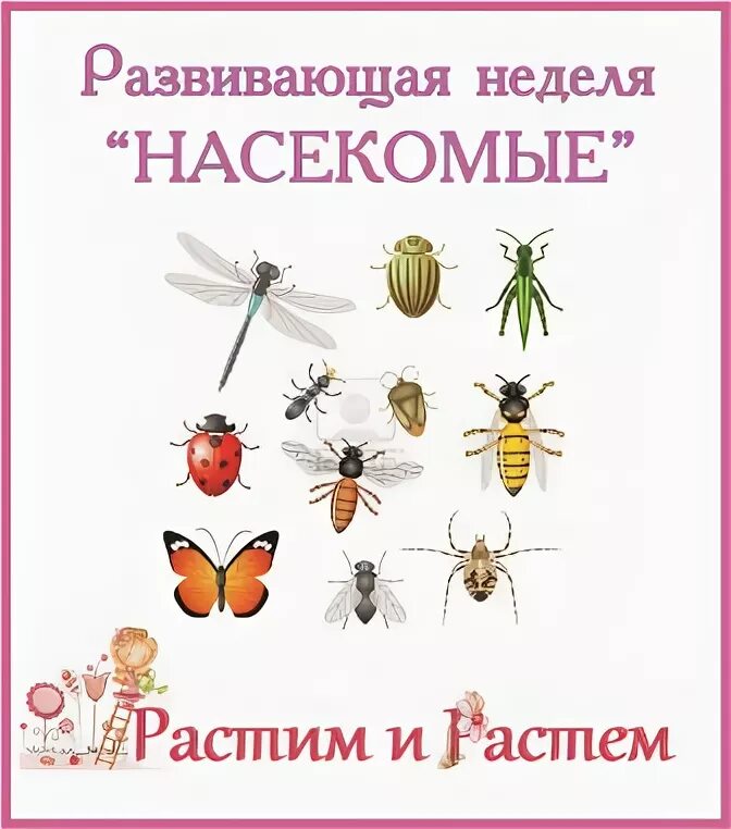 Тематическая неделя насекомые. Тема недели насекомые. Рекомендации по теме недели насекомые. Тема недели насекомые рекомендации.