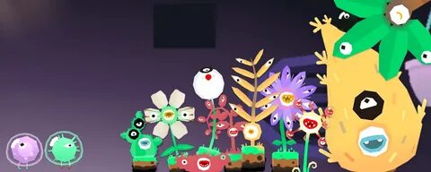 Toca plants