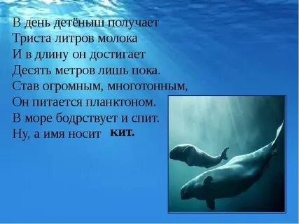 Кит на дне