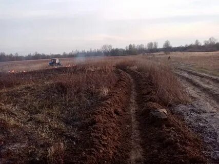 Погода переторги