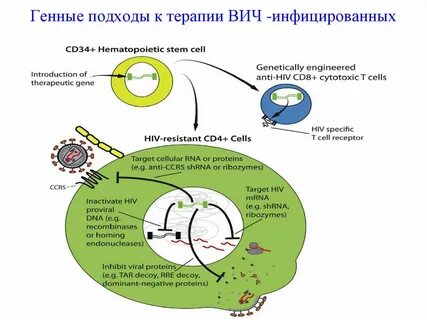 Терапия вич форум