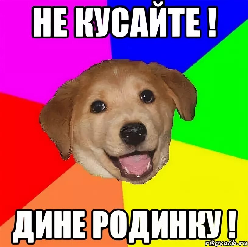 Включи не кусает. Включи не кусает. Кусается и в дом не пускает. Покусаю тебя картинки прикольные. Табличка злая собака прикольная.